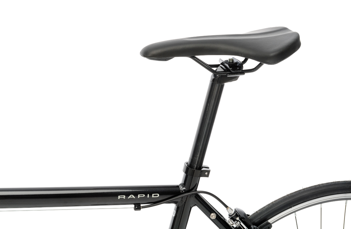 Zeus Carbon Fork Fat Bike Plum Bikes Reid