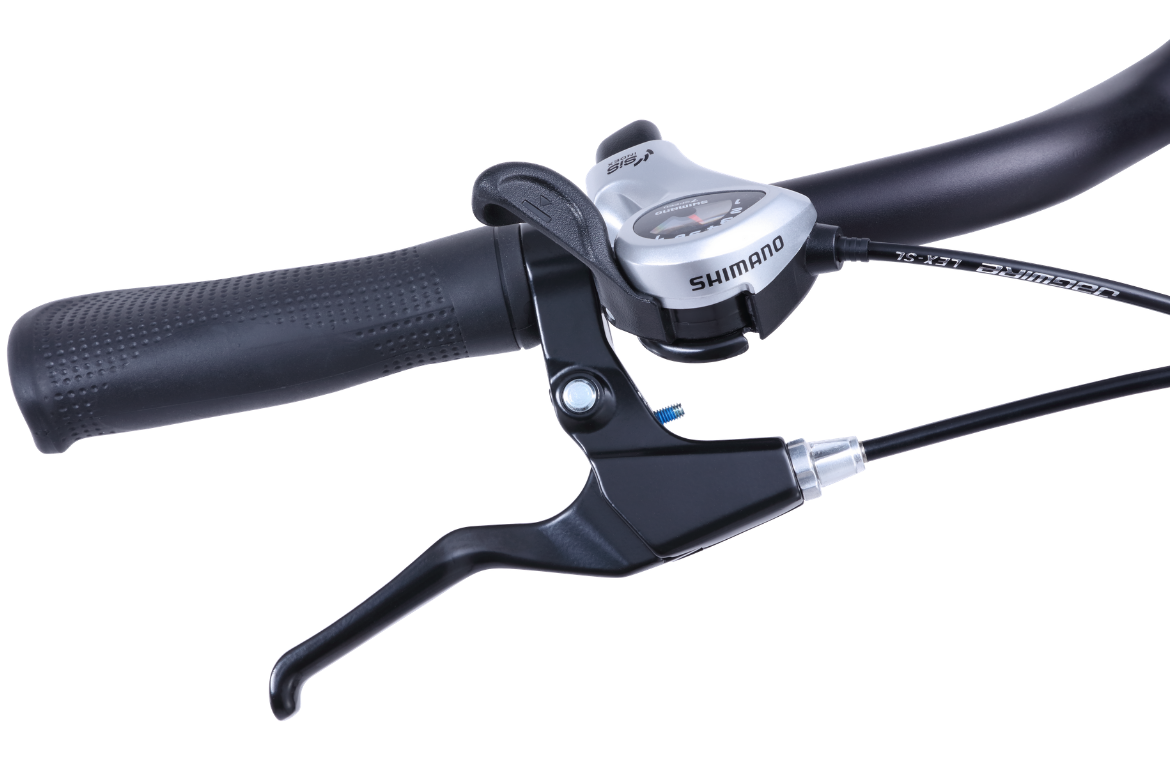 City Pulse Step Through eBike 2020 Matte Charcoal eBikes Reid