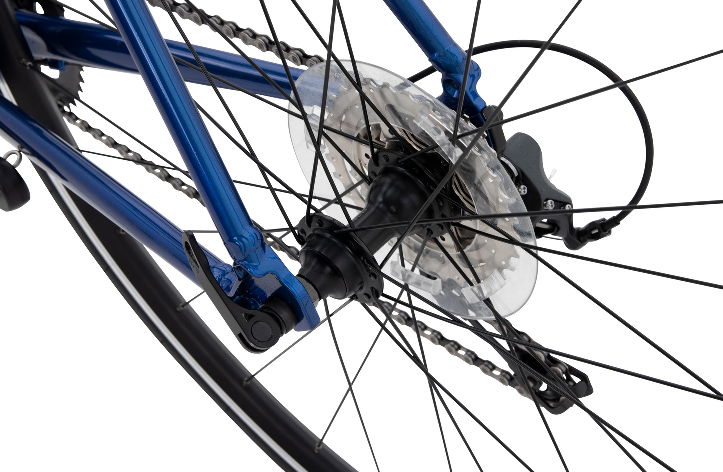 Falco Pro Road Bike MY23 Blue Bikes Reid