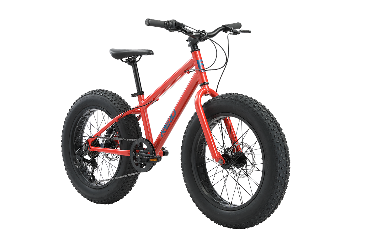 Monster 20" Kids Bike Orange Bikes Reid