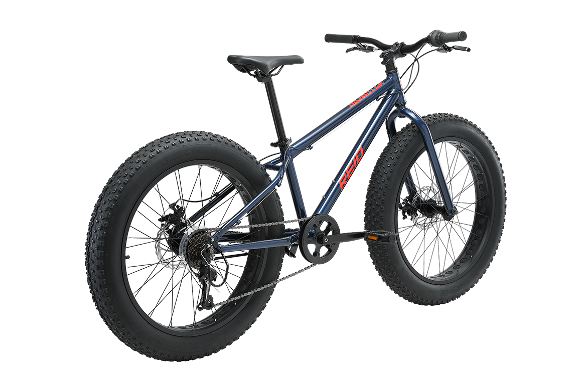 Monster 24" Kids Bike Blue Bikes Reid