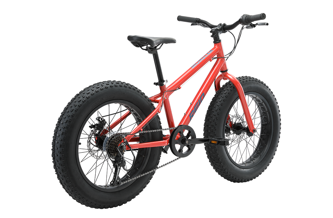Monster 20" Kids Bike Orange Bikes Reid
