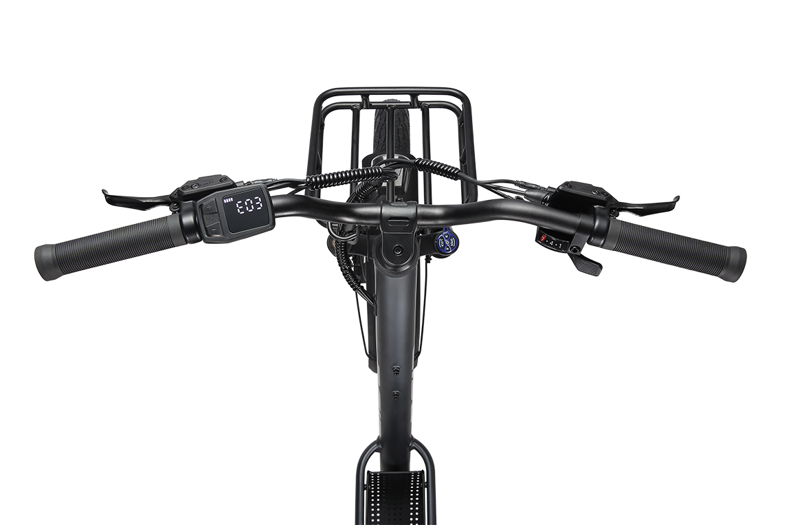 2095 250W 25kph eBike