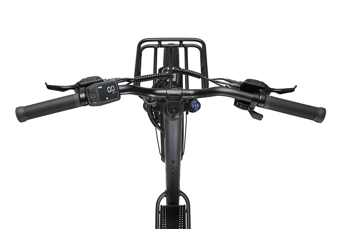 2095 250W 25kph eBike