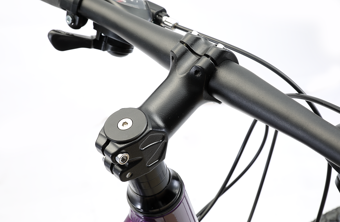 City 2 WSD Commuter Bike Purple Bikes Reid