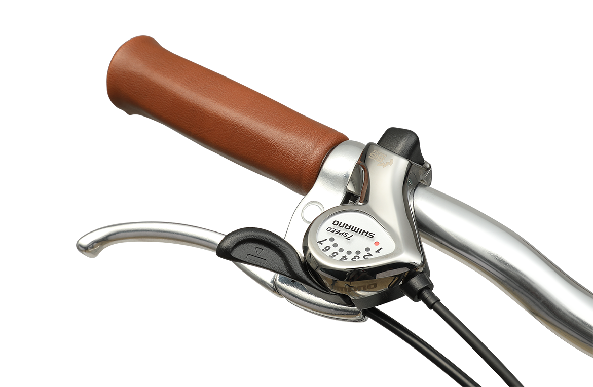 Ladies Esprit Vintage Bike Sage Bikes Reid