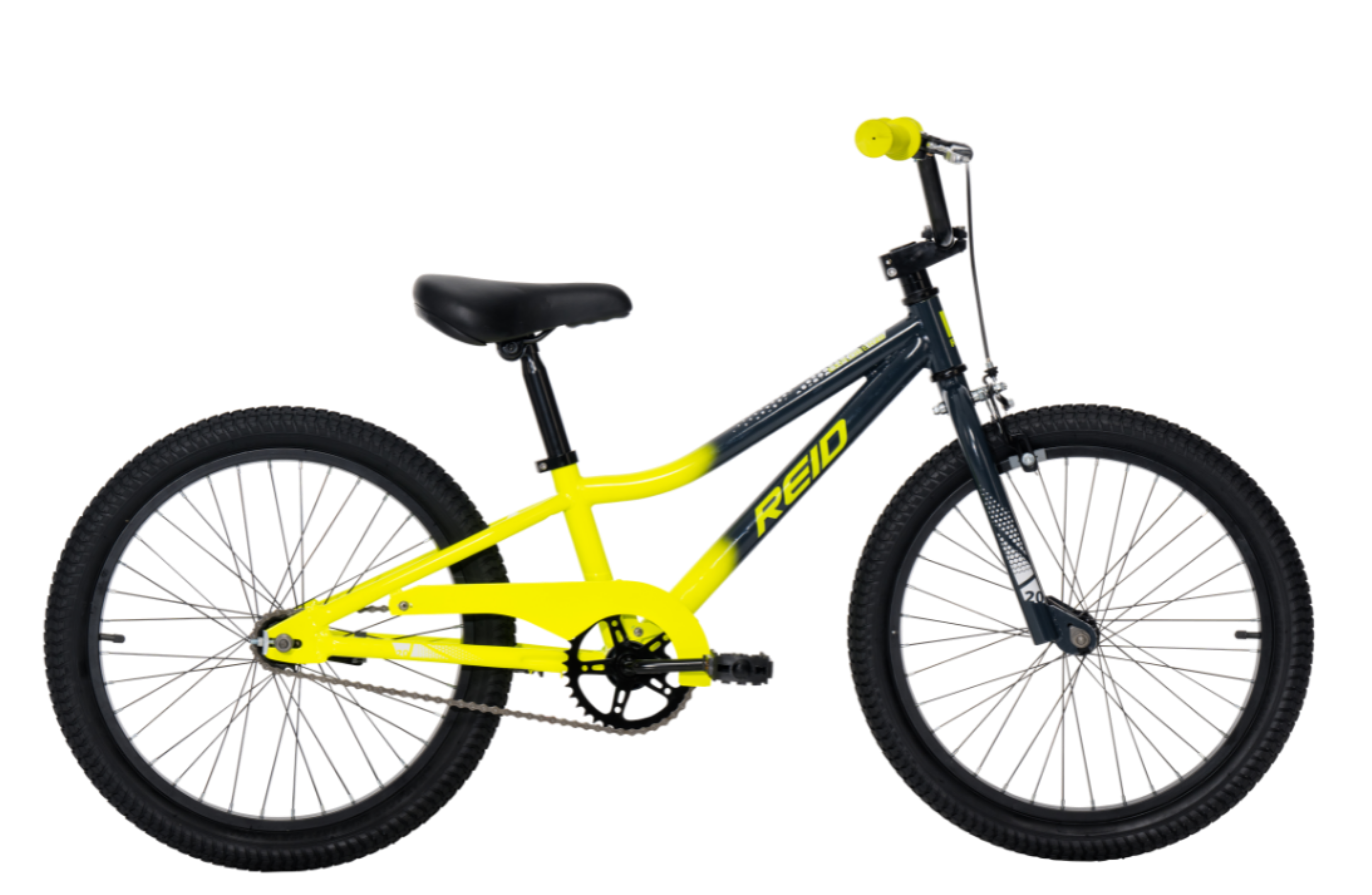 Bicycle Ride Back ゴールドスタンダード　12個　未開封 Explorer S 20