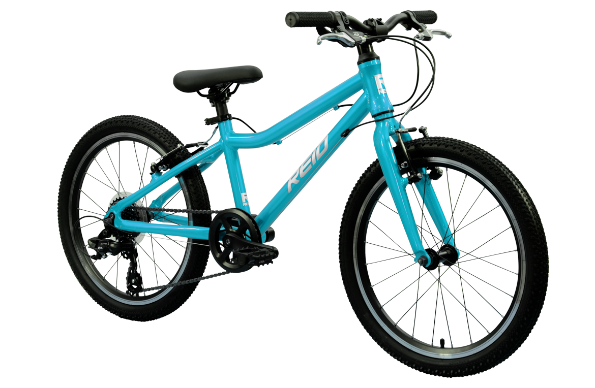 Viper 20" Kids Bike Teal