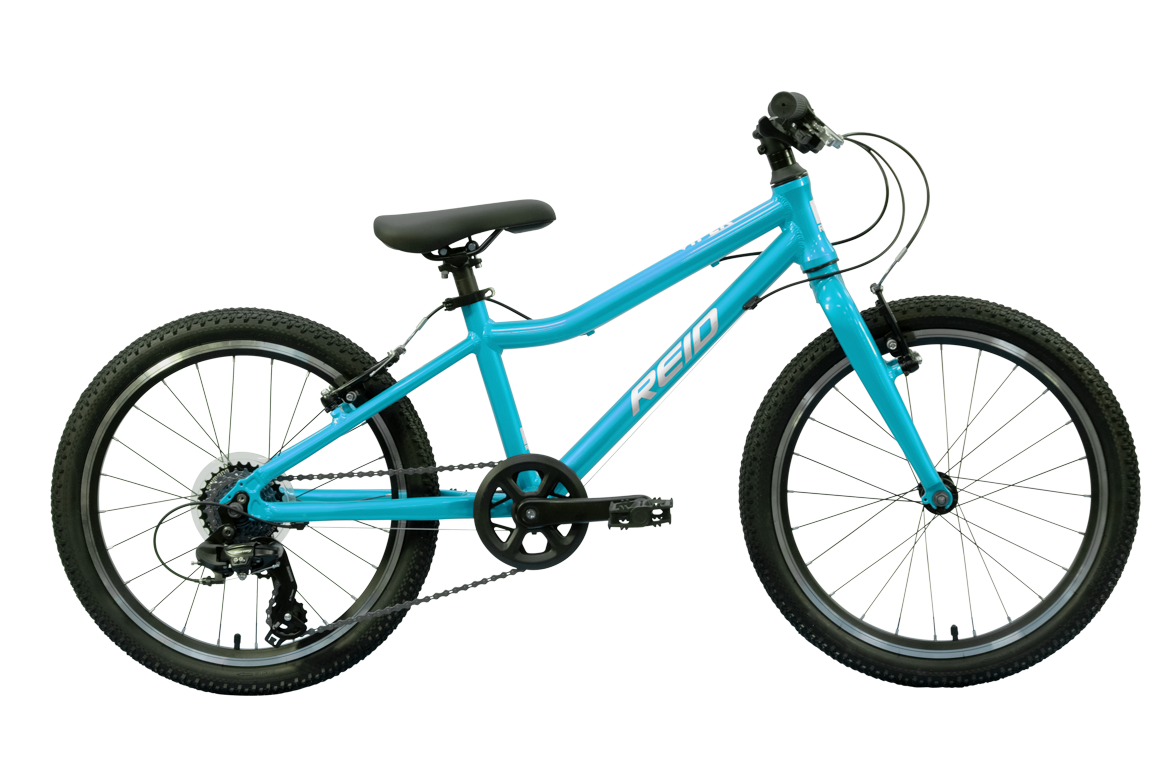 Viper 20" Kids Bike Teal