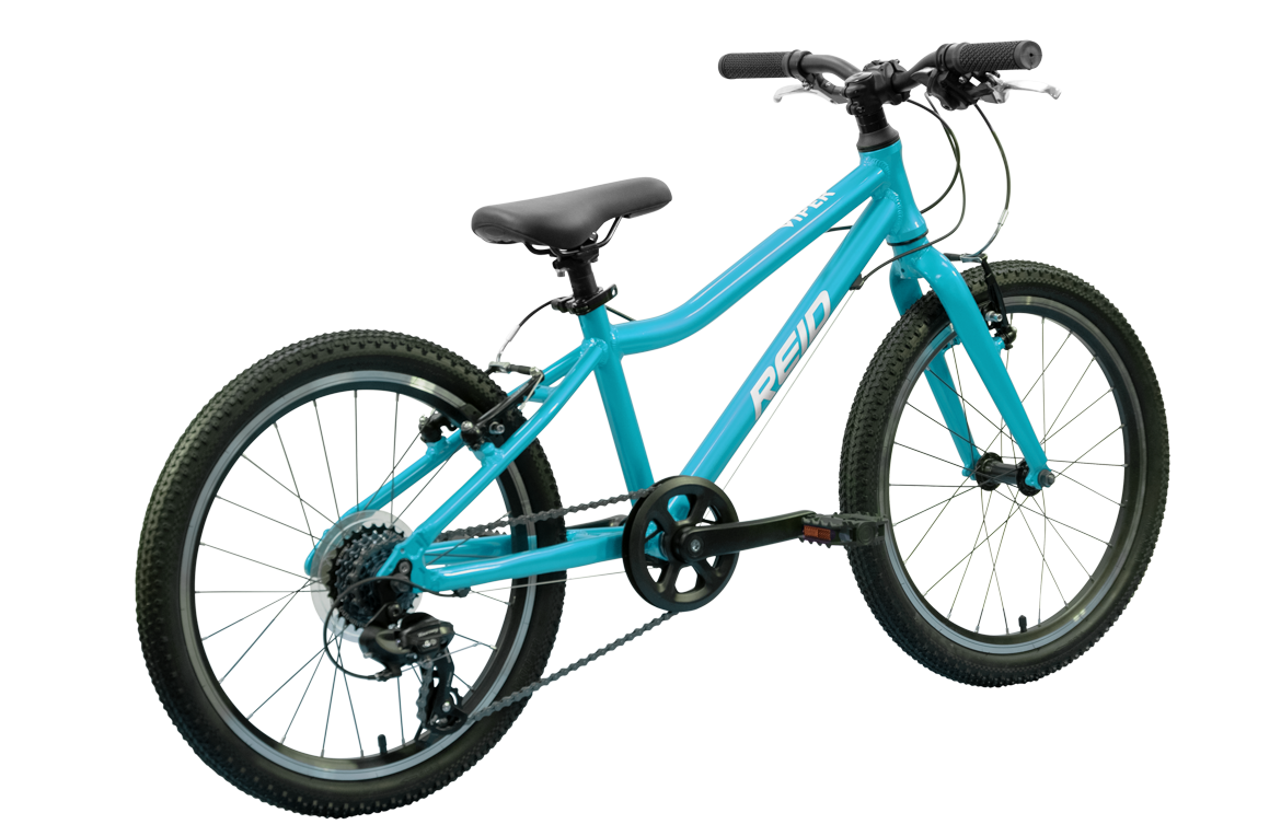 Viper 20" Kids Bike Teal