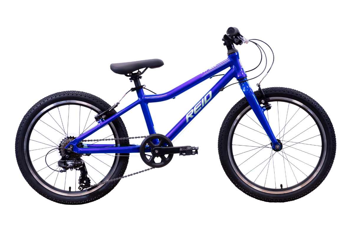Viper 20" Kids Bike Blue Bikes Reid