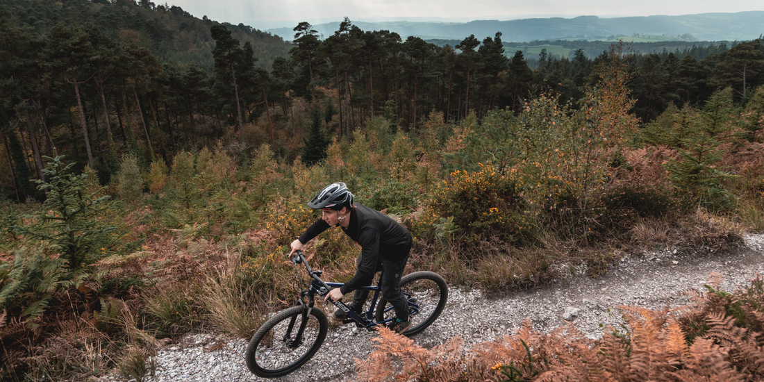 Over 500,000 Trees Planted and Growing: How Every Reid Bike, eBike and eScooter Makes an Impact