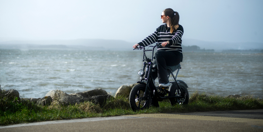 Meet the New Reid RB350 Mini & RB500 eBikes