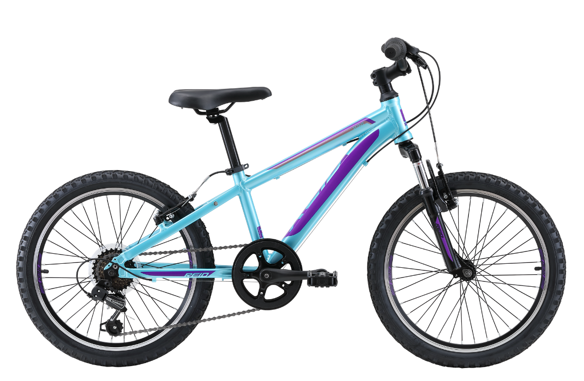 Scout 20" Kids Bike Turquoise Purple Bikes Reid   