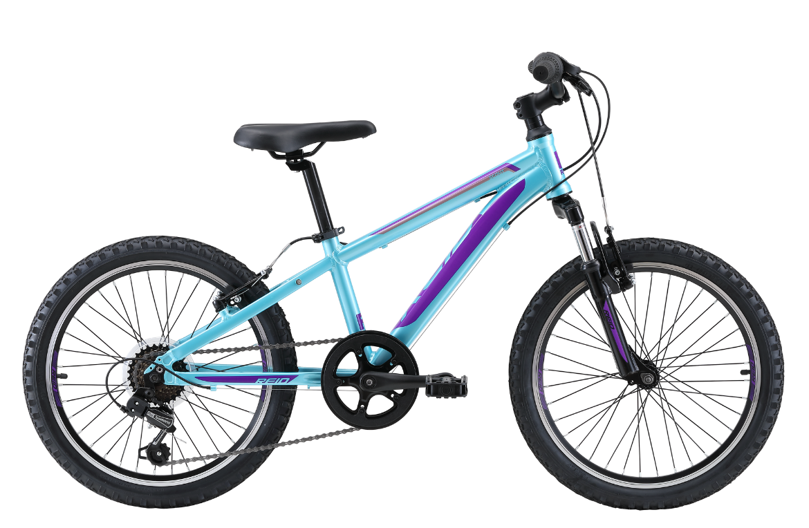 Scout 20" Kids Bike Turquoise Purple Discontinued