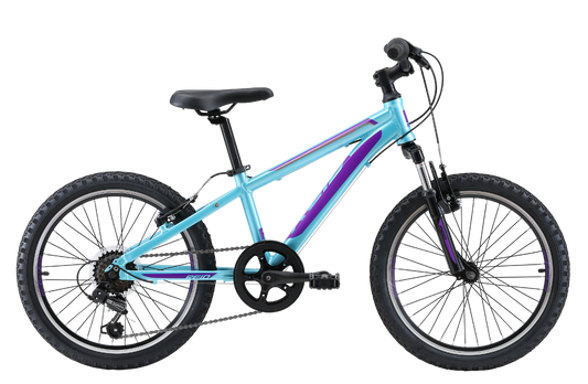 Scout 20" Kids Bike Turquoise Purple Bikes Reid