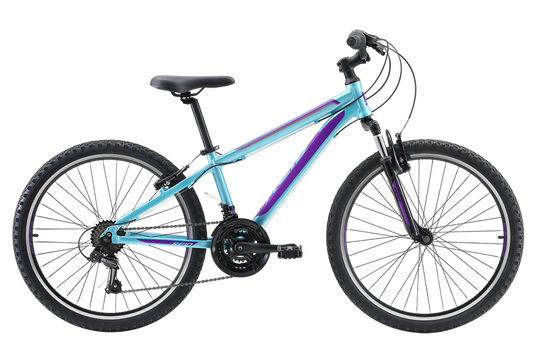 Scout 24" Kids Bike Turquoise Purple Bikes Reid