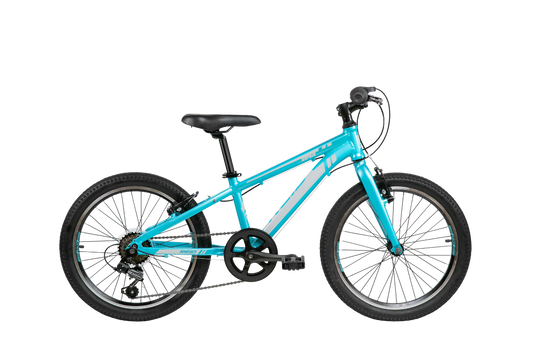 Viper 20" Kids Bike Aqua Bikes Reid