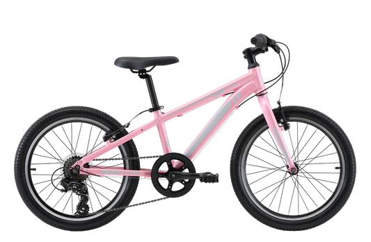 Viper 20" Kids Bike Pink Bikes Reid