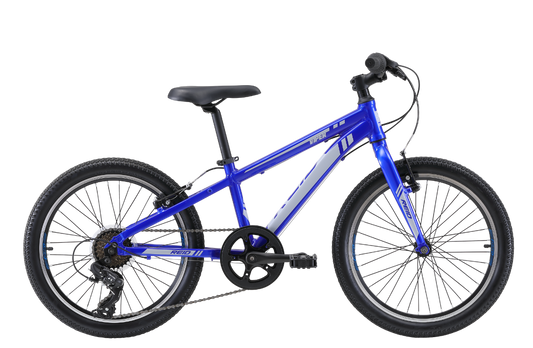 Viper 20" Kids Bike Blue Bikes Reid