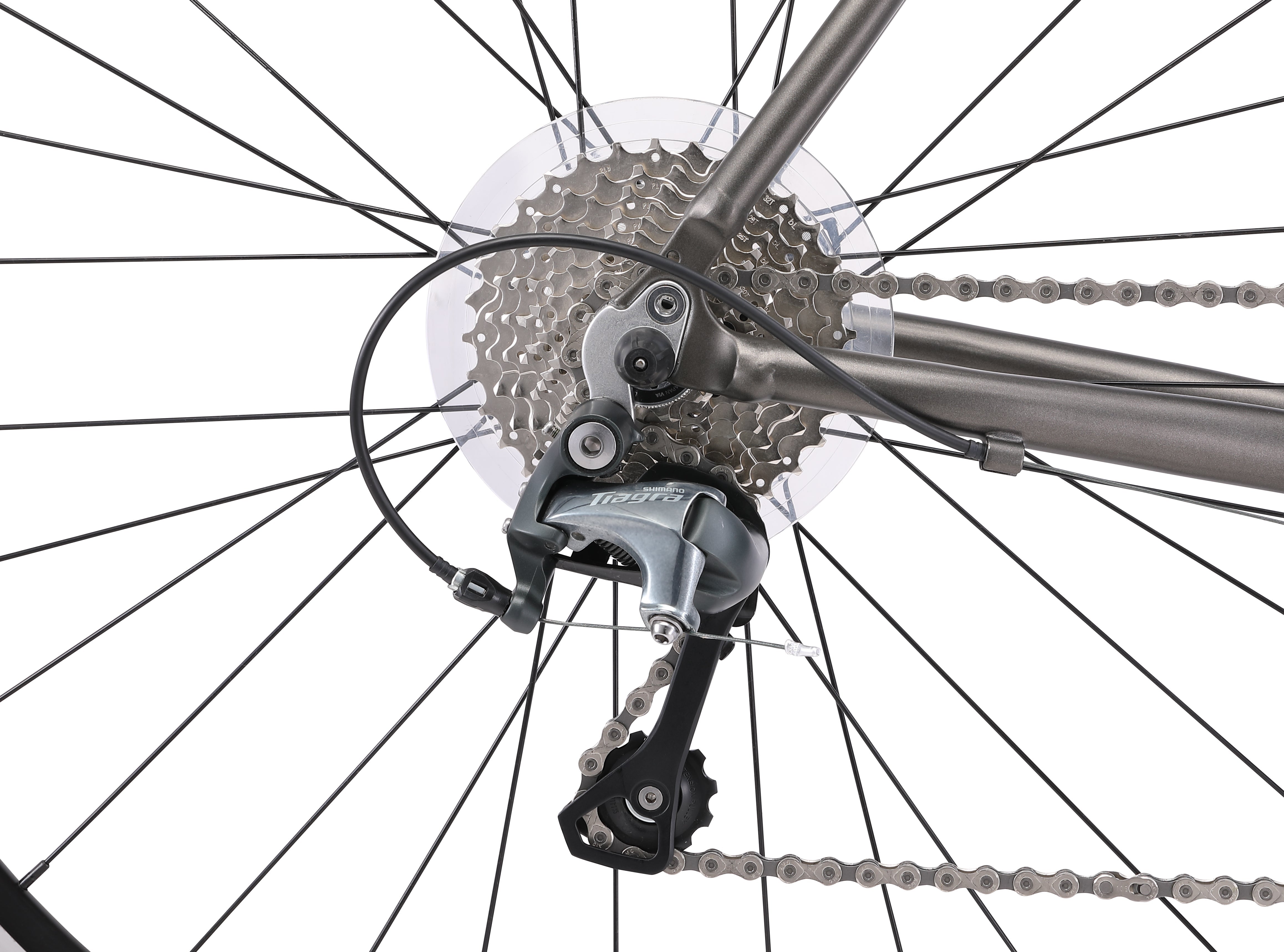 Falco Sport Road Bike Grey – Reid Bikes Global