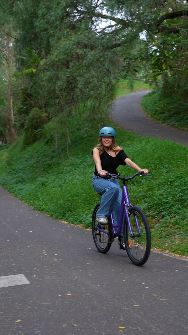 Comfort 1 Step Through Commuter Bike Purple
