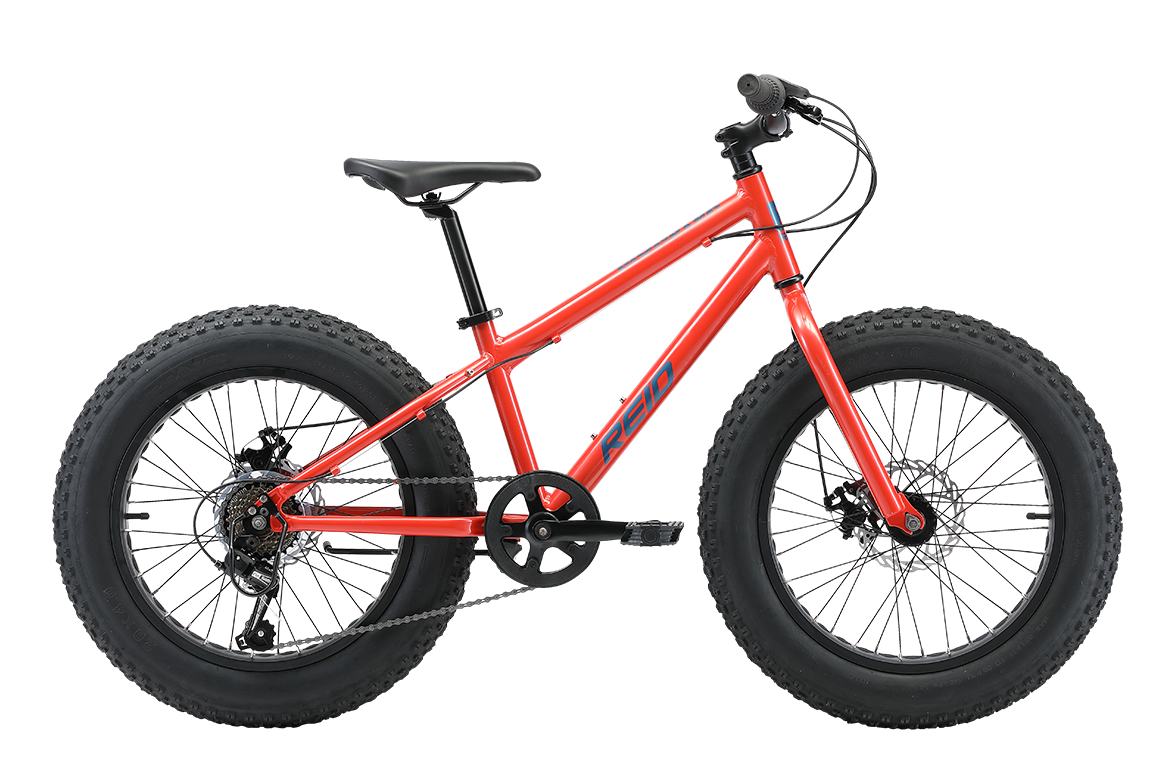 Monster 20" Kids Bike Orange