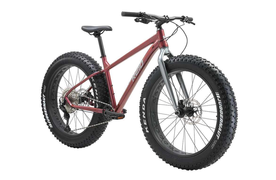 Reid fat bike for sale sale