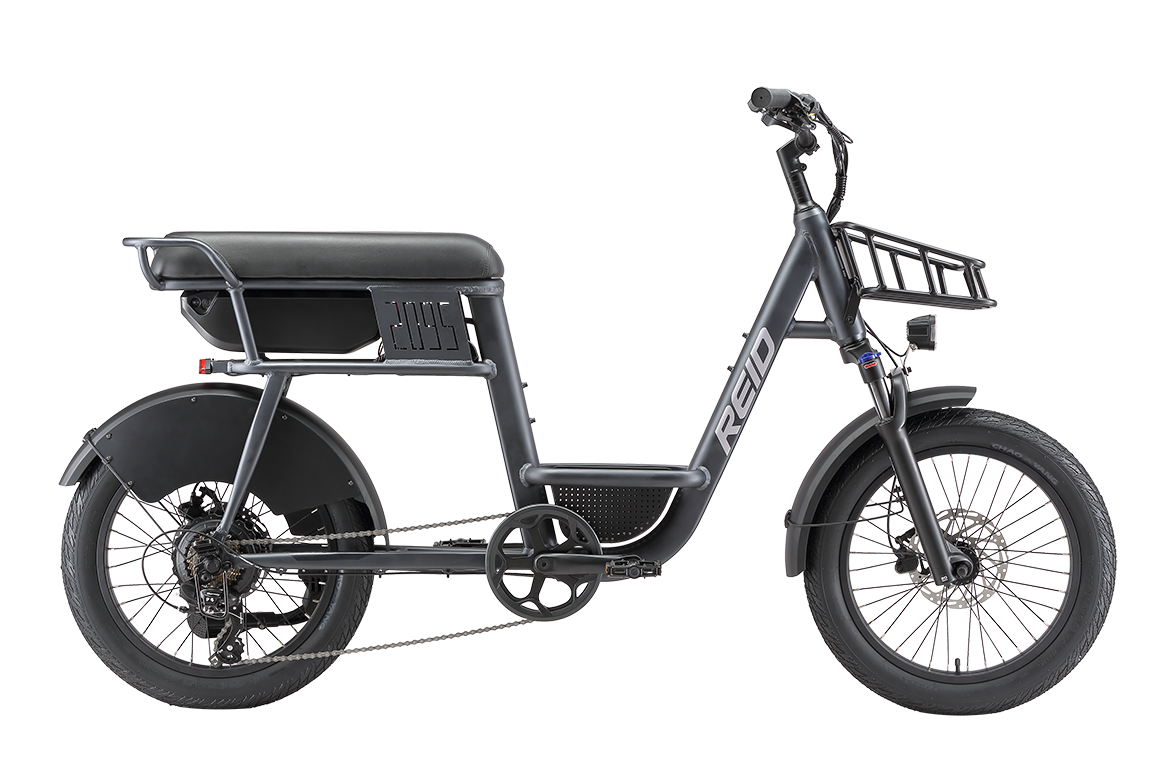 2095 250W 25kph eBike