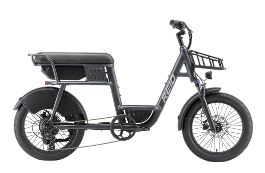 2095 250W 25kph eBike