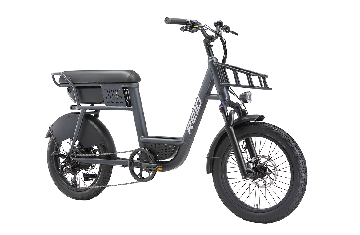 2095 250W 25kph eBike