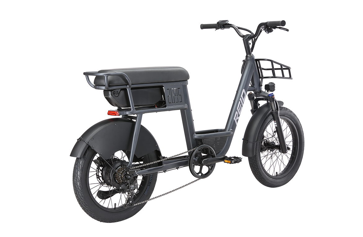 2095 250W 25kph eBike