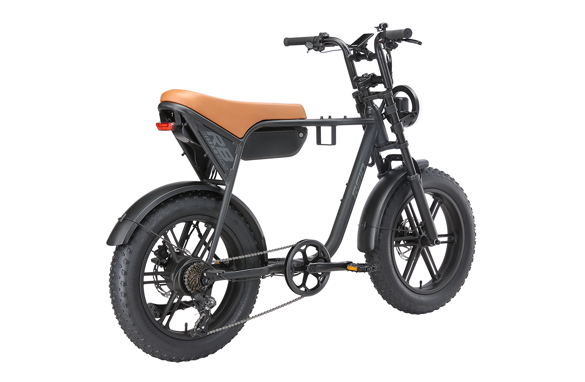 RB500 eBike MY26 Black