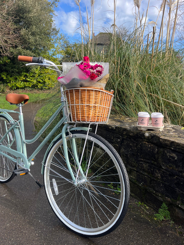 Ladies Classic Vintage Bike Sage