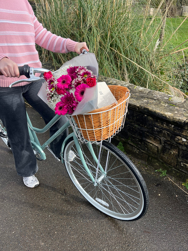 Ladies Classic Vintage Bike Sage