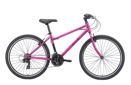 Original MTB WSD Mountain Bike Purple Bikes Reid