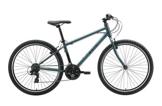 Original MTB Mountain Bike Pewter Green Bikes Reid