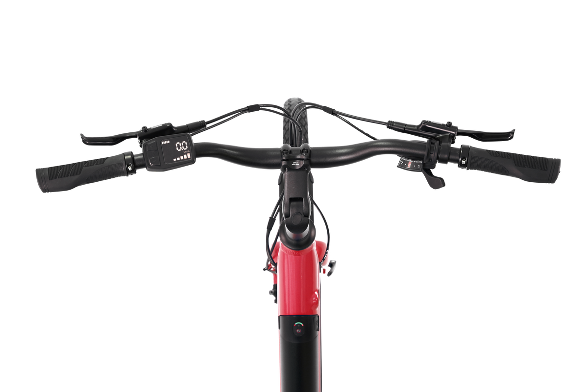 Pulse ST eBike Plum