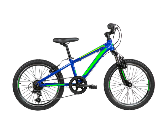 Scout 20" Kids Bike Blue Green Bikes Reid