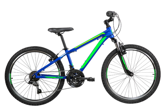 Scout 24" Kids Bike Blue Green Bikes Reid
