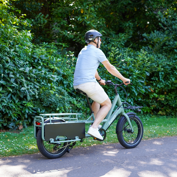 KADe Mini Green Cargo eBike 20"