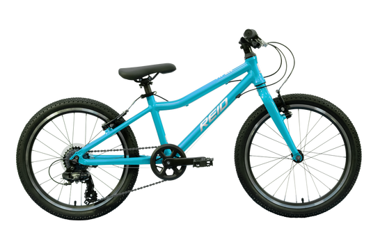 Viper 20" Kids Bikes Teal