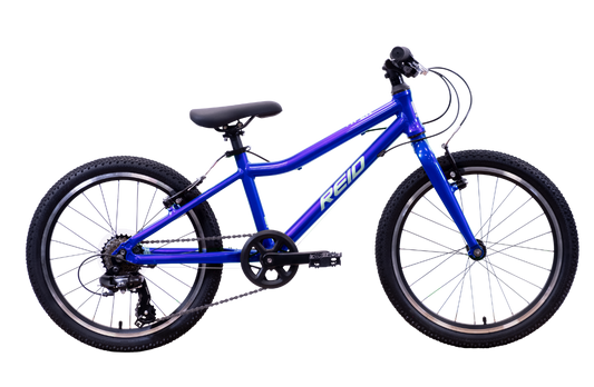 Viper 20" Kids Bikes Blue