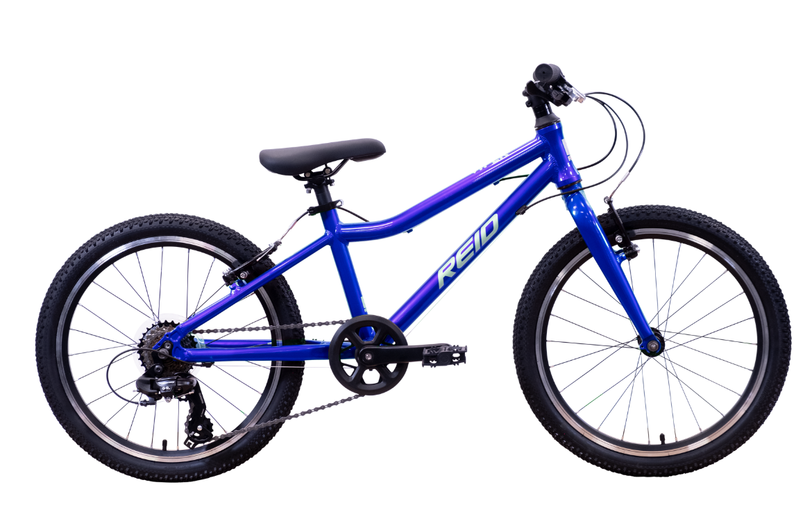 Viper 20" Kids Bike Blue Bikes Reid   