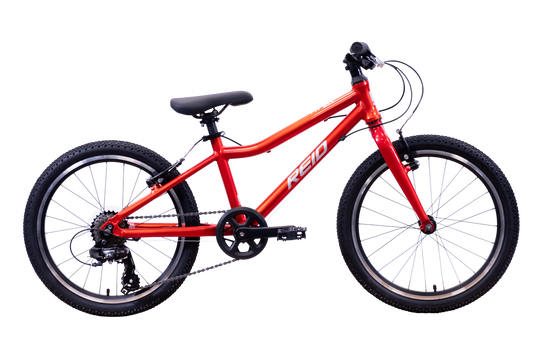 Viper 20" Kids Bikes Red