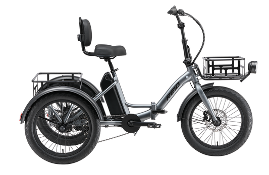 eTrike MY25 eBike Grey