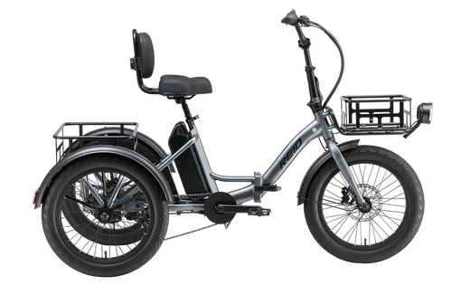 eTrike MY25 eBike Grey